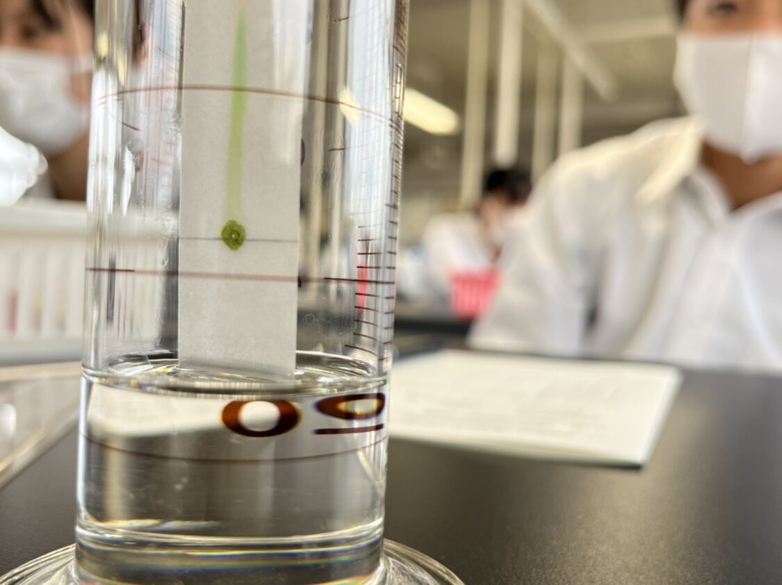 生物実験 ペーパークロマトグラフィー法による光合成色素の分離 埼玉県立秩父高等学校