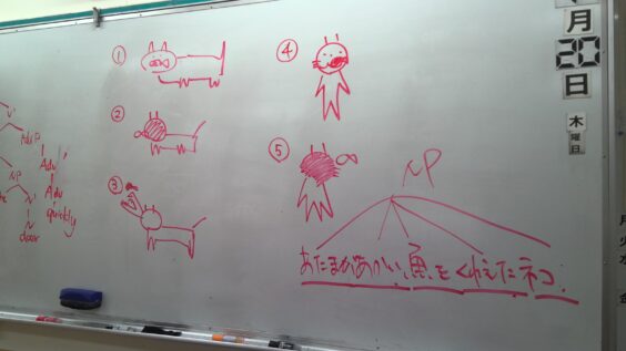 板書：猫と魚の絵で構造の違いを解説