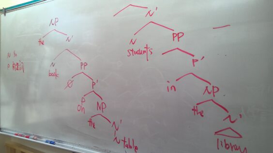 黒板いっぱいの樹形図