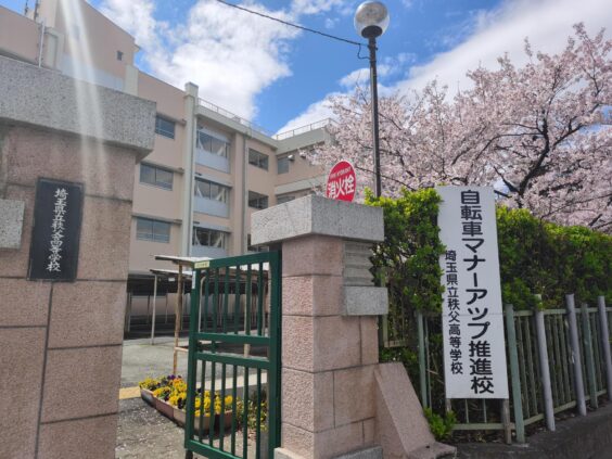 校庭の満開の桜2